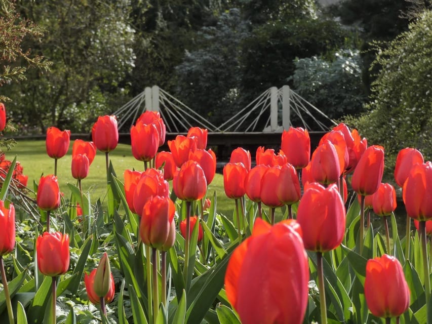 Rotterdam: Trompenburg Botanical Gardens Entry Ticket - Sunday activities and the choice of a self-guided visit