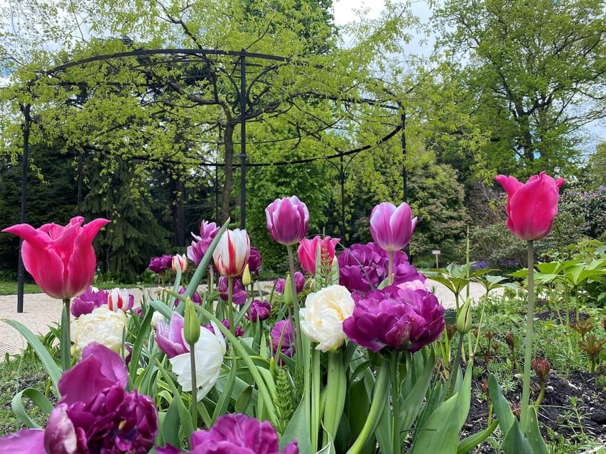 Rotterdam: Trompenburg Botanical Gardens Entry Ticket - How much time should you allow?