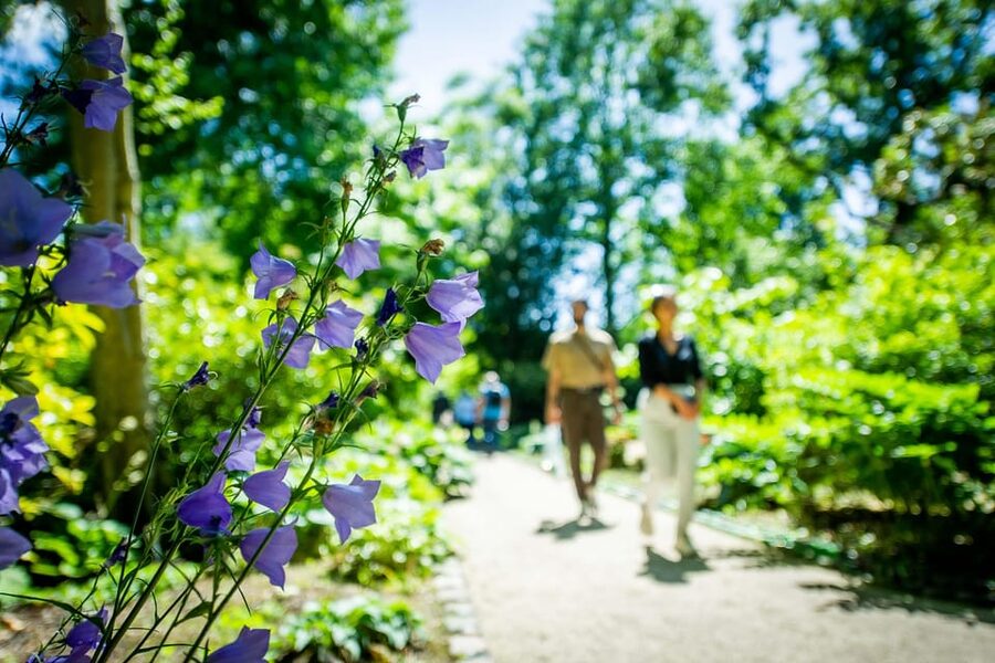 Rotterdam: Trompenburg Botanical Gardens Entry Ticket - Who will enjoy Trompenburg most?
