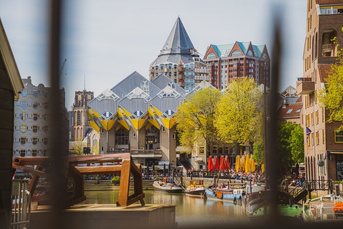 Rotterdam Walk: Hilights, Gems, Architecture & WWII | 2 or 3hrs - The Erasmus Bridge and Rotterdam’s wartime story