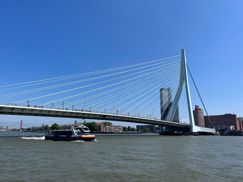 Rotterdam: Waterbus Ticket to Dordrecht and/or Kinderdijk - Seating, weather, and the best place for views