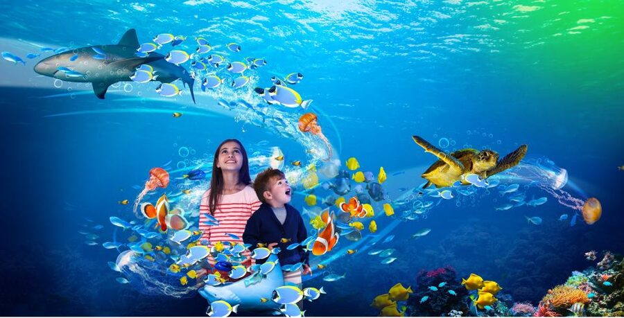 Scheveningen, The Hague: Sea Life Entry Ticket - Penguins, otter Max, and animal encounters