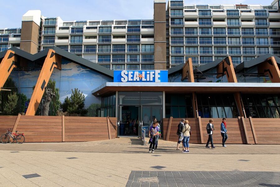 Scheveningen, The Hague: Sea Life Entry Ticket - Wheelchair access and simple entry