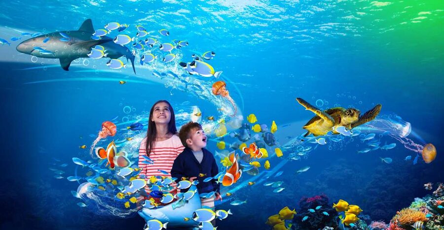 Scheveningen, The Hague: Sea Life Entry Ticket - Should you book Sea Life Scheveningen?
