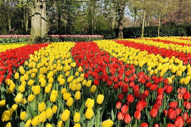 Skip-the-Line Keukenhof Gardens and Tulip Fields Tour from Amsterdam - Making the most of roughly three hours inside