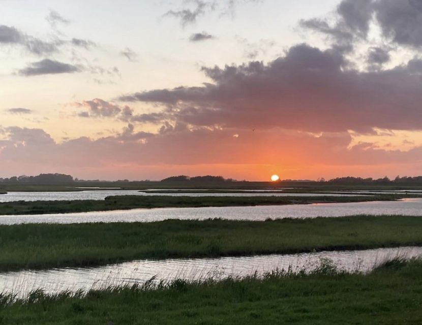 Small group full day island tour to Texel from Amsterdam - Den Burg and the pleasure of a village stop