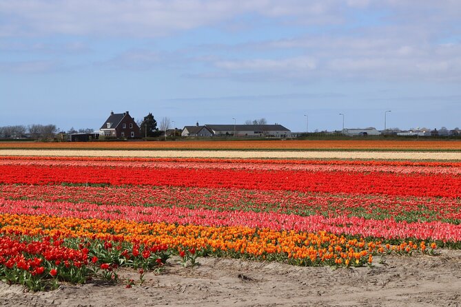 Small Group Keukenhof and Delft Guided Tour from Amsterdam - Leaving Amsterdam at 9:30