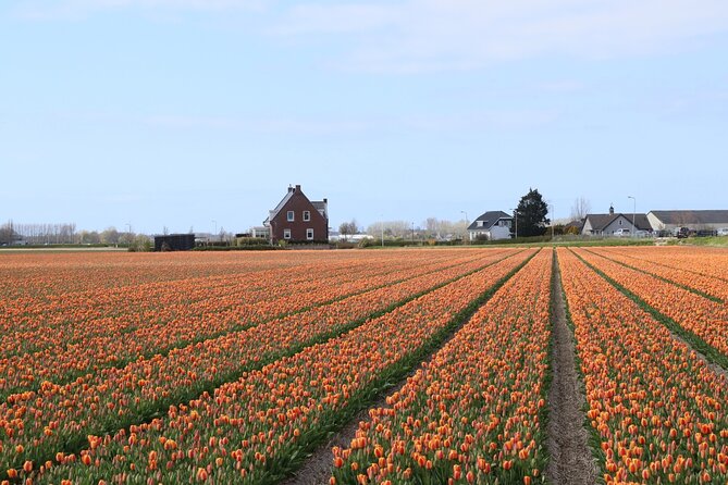 Small Group Keukenhof and Delft Guided Tour from Amsterdam - The three-hour Keukenhof question