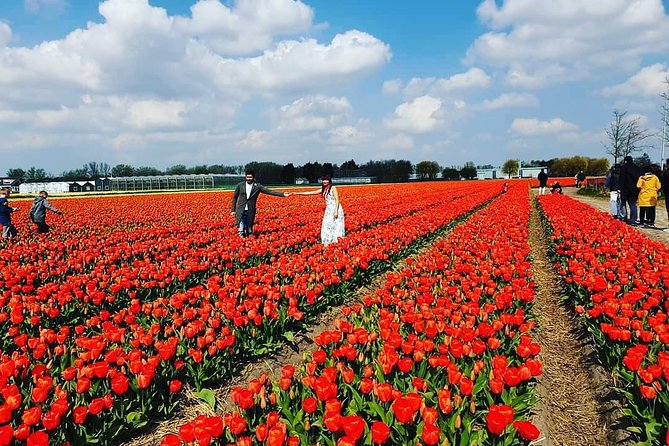 Small Group Keukenhof and Delft Guided Tour from Amsterdam - A quick stop among the Lisse bulb fields