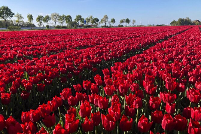 Small Group Keukenhof and Delft Guided Tour from Amsterdam - Delftware at a working pottery stop
