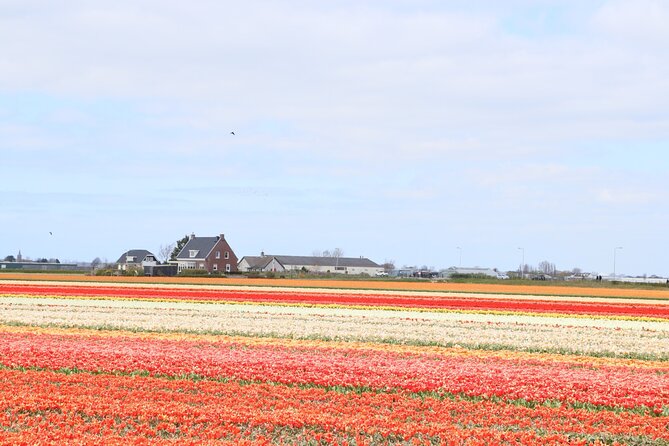 Small Group Keukenhof and Delft Guided Tour from Amsterdam - Walking Delft’s canals and old center