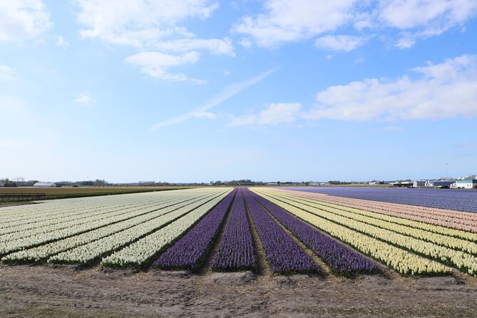Small Group Keukenhof and Delft Guided Tour from Amsterdam - What the small group really changes