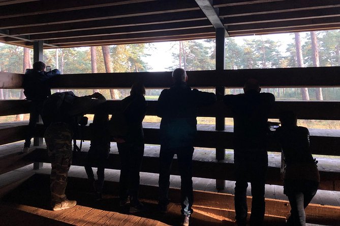 Small Group Tour to NP Hoge Veluwe (van Gogh) from Amsterdam - Coffee, sculpture, trees, and flowers