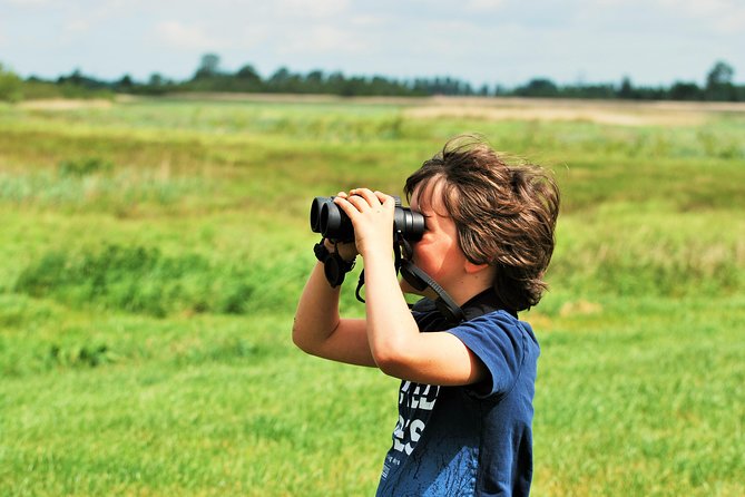 Small Group Tour to NP Hoge Veluwe (van Gogh) from Amsterdam - Is $210.04 a fair price?