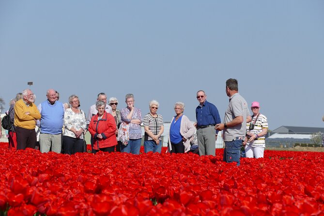 Taking Pictures in the Tulip Field at De Tulperij - The $12.01 price and what it buys you