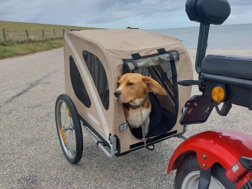 Texel: E-Scooter Rental - Getting started with TexelCruiser