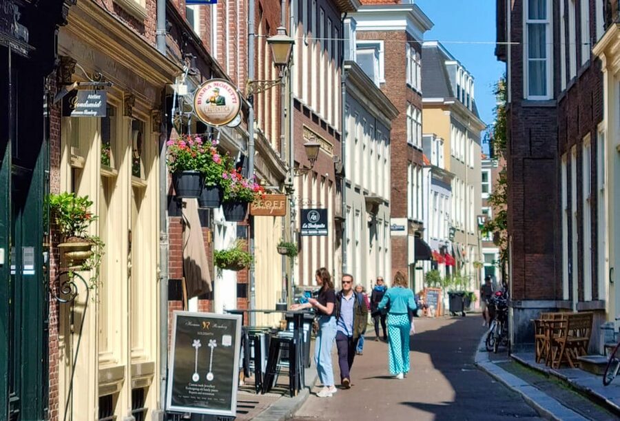 The Hague: City Walking Tour - Ending at Noordeinde Palace