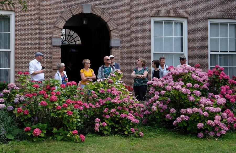 The Hague: Courtyard Walking Tour - What the 90-minute format means