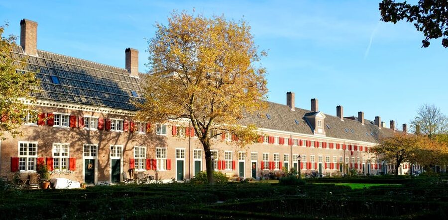 The Hague: Courtyard Walking Tour - Accessibility, pets, and practical limits
