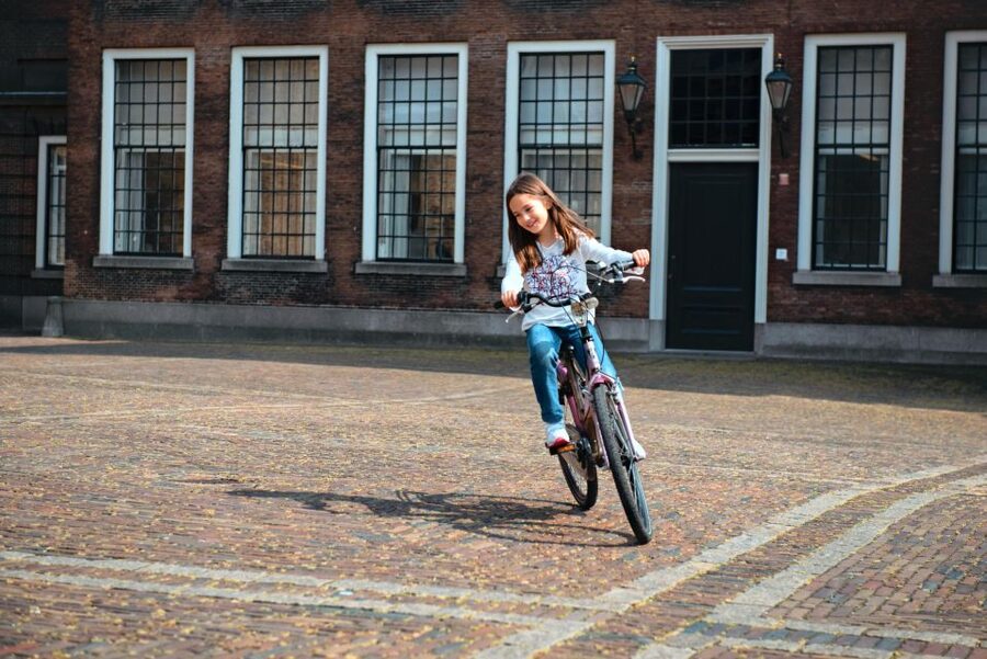 The Hague: Highlights Bike Tour - Key points to know before you book