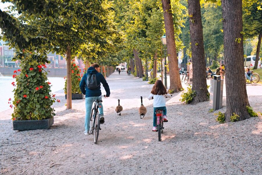 The Hague: Highlights Bike Tour - The old center and Binnenhof