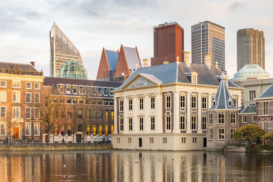 The Hague: Mauritshuis Entrance Ticket - The Mauritshuis multimedia app and audio options