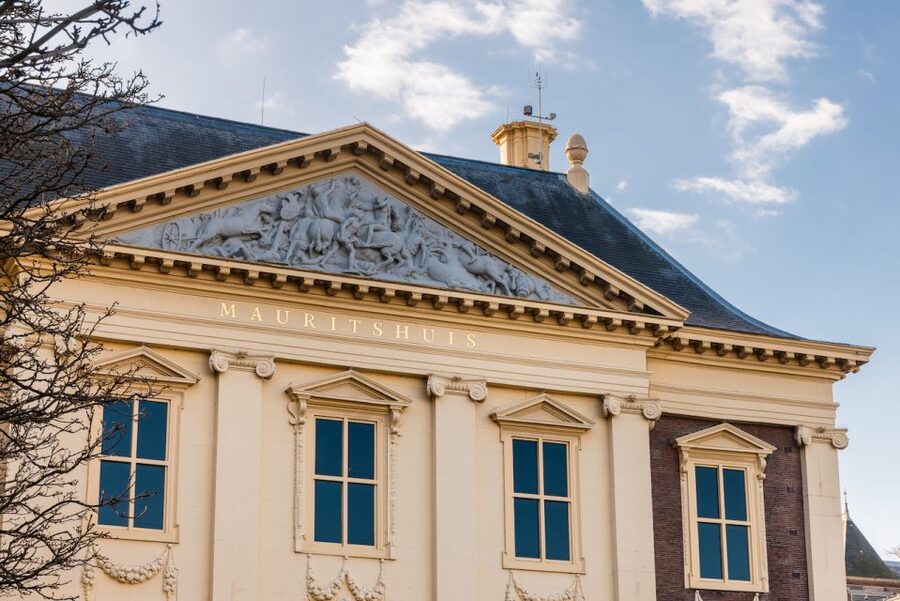 The Hague: Mauritshuis Entrance Ticket - The palace interiors are part of the art experience