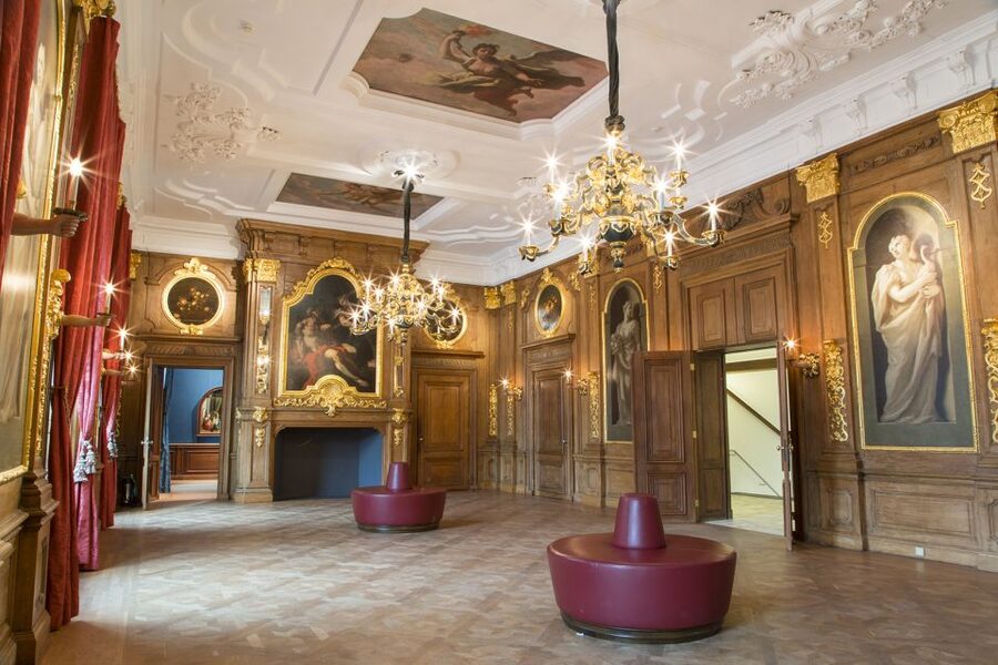 The Hague: Mauritshuis Entrance Ticket - The 2026 BIRDS exhibition