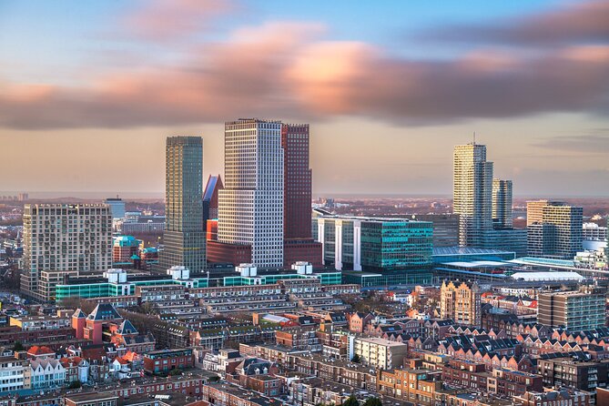 The Hague Private Custom Walking Tour With A Guide (Private Tour) - Mauritshuis and the Dutch painting collection