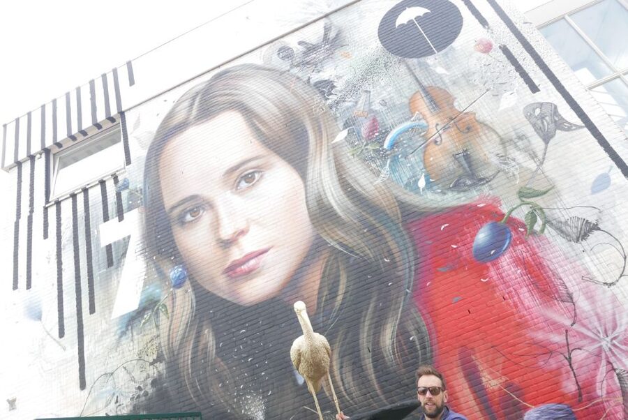 The Hague: Street Art Tour by Bike - What $28 gets you