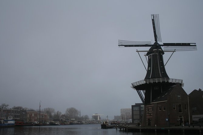 The rise of Haarlem: Culture, History, Art and Architecture Walking Tour - Teylers Museum and Haarlem’s art connection
