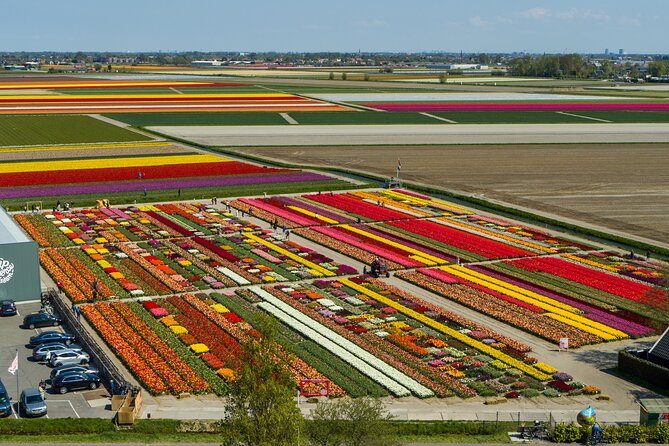 Tour to Giethoorn and Keukenhof Tulip Fields from Amsterdam - Who will get the most from this tour