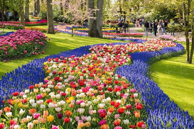 Tulip Experience and Keukenhof Flower Gardens Tour from Amsterdam - Why the private format makes sense