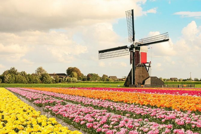 Tulip Experience and Keukenhof Flower Gardens Tour from Amsterdam - One million tulips in the show garden