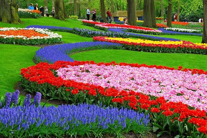 Tulip Experience and Keukenhof Flower Gardens Tour from Amsterdam - What $382.91 per person really buys