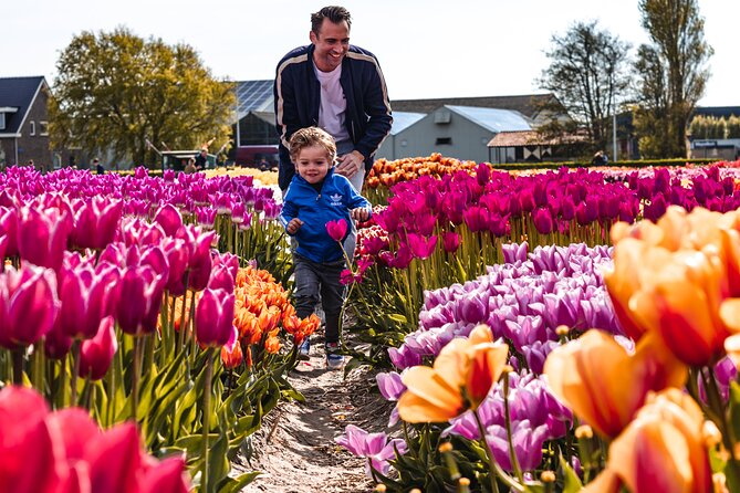 Tulip Experience and Keukenhof Flower Gardens Tour from Amsterdam - The tulip story at Tulip Experience Amsterdam