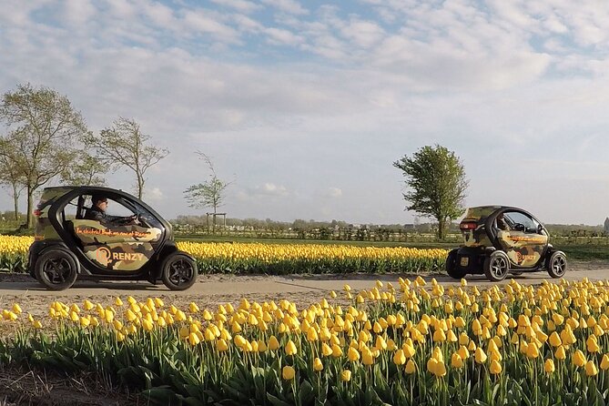 Tulip Fields near Keukenhof - Self-Drive Audio Tour for 2 People - Learning the Twizy Before You Set Off