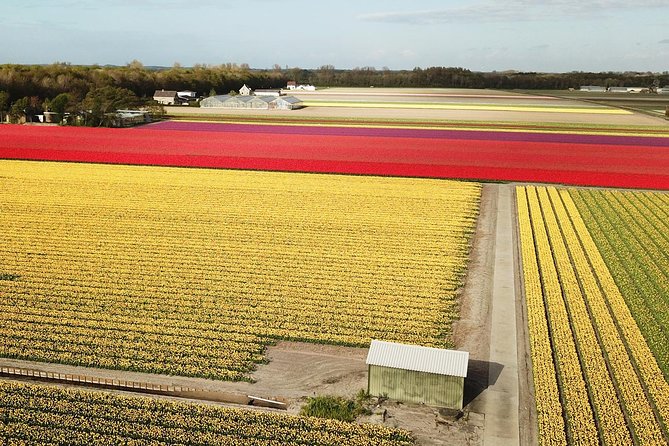 Tulip Fields near Keukenhof - Self-Drive Audio Tour for 2 People - Weather, Comfort, and What to Wear