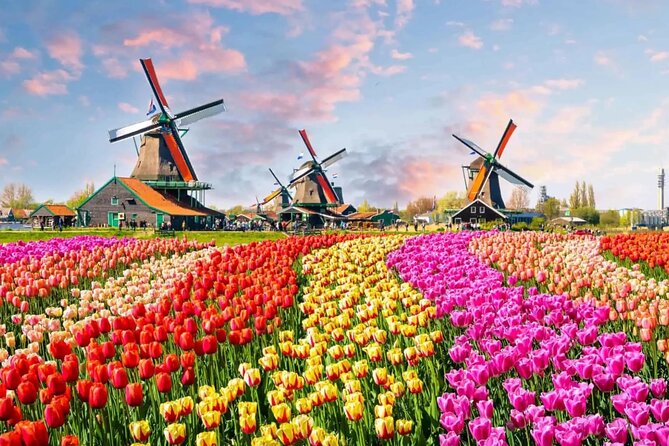 Tulip Paradise: Keukenhof Half-Day Private Tour - Tulip fields, windmills, and time for photographs