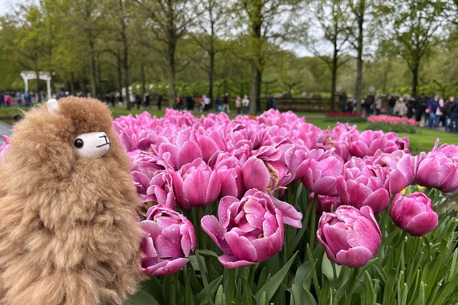 Tulip Paradise: Keukenhof Half-Day Private Tour - Is $1,189.51 good value for two people?