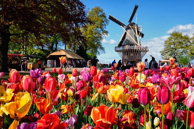 Tulip Paradise: Keukenhof Half-Day Private Tour - The 9:00 AM hotel pickup
