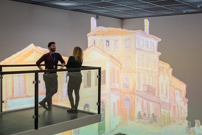 Van Gogh Museum Private Tour - Arles and the South of France