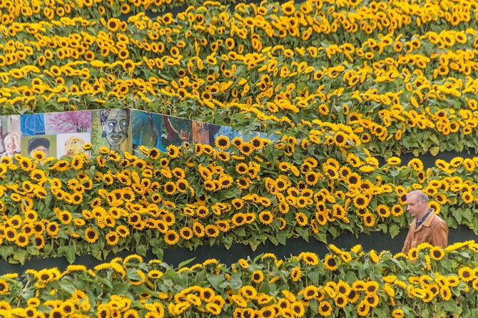 Van Gogh Museum Skip the Queue with Audio Guide - Is the $111.74 price worth it?