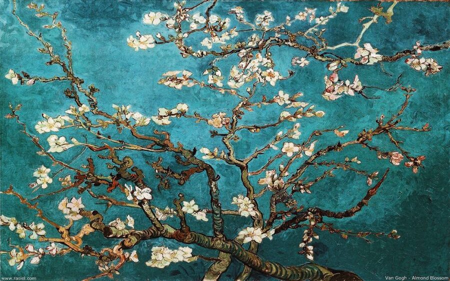 Van Gogh & Rijksmuseum Masterpieces Guided Tour 8 guests 5h - Is $281 Per Person a Fair Price?