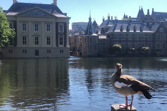 Visit the Girl with the Pearl Earring, The Hague & Delft City - Entering the Mauritshuis in The Hague