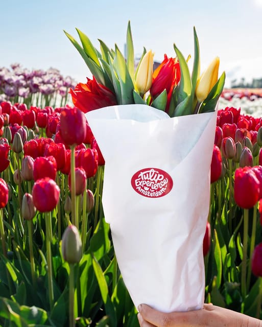Warmond: Kagerplassen Cruise with "Tulip Experience" Ticket - Boarding the Riverboat in Warmond