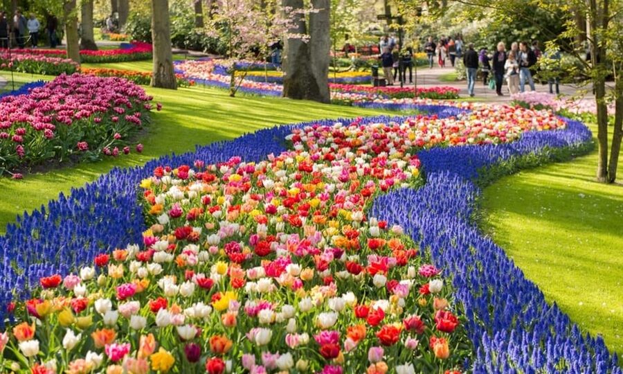 Warmond: Windmill Cruise and Keukenhof Entry Ticket - Keukenhof after the cruise