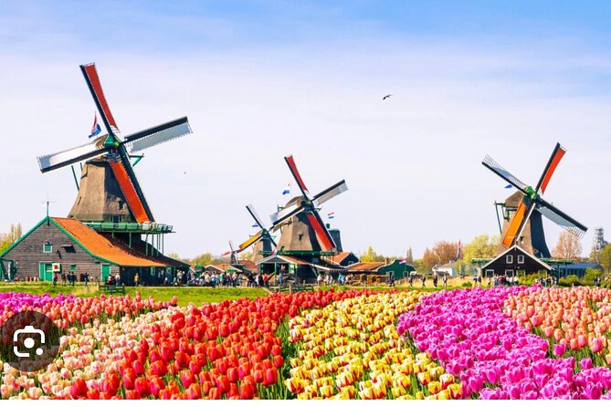 Windmills Country side tour Zaanse Schans-Cheesefactory-Volendam - Volendam Harbor and Time for Your Own Pace