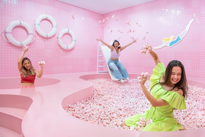 WONDR Experience - The blue ball pit is the main event