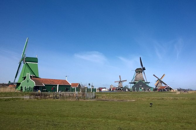 Zaanse Schans and Volendam Private Tour from Amsterdam - Meeting the cows at Jacobs Hoeve Cheese Farm